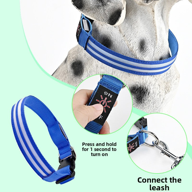 LED Light-Up Dog Collar | Fiber Optic Safety Collar for Night Walks