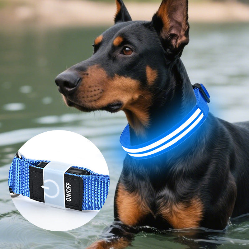LED Light-Up Dog Collar | Fiber Optic Safety Collar for Night Walks