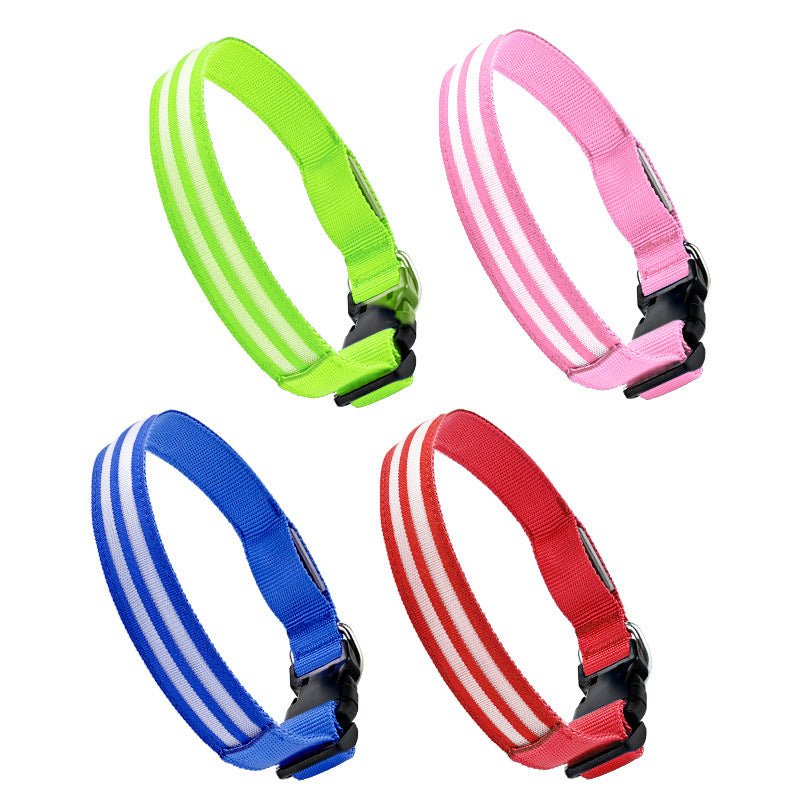 LED Light-Up Dog Collar | Fiber Optic Safety Collar for Night Walks