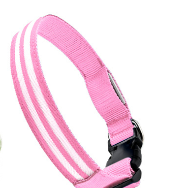 LED Light-Up Dog Collar | Fiber Optic Safety Collar for Night Walks