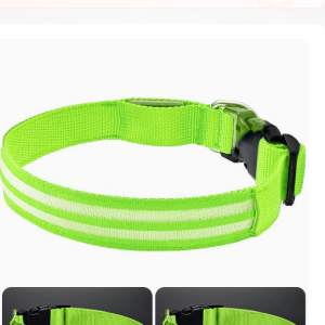LED Light-Up Dog Collar | Fiber Optic Safety Collar for Night Walks