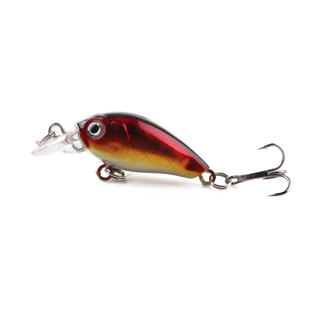 Rock Fat Fishing Lure Bait