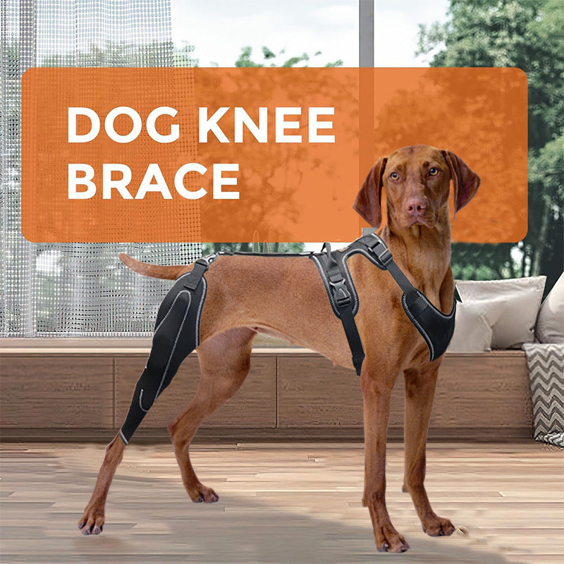Adjustable Dog Hind Leg Brace with Metal Support